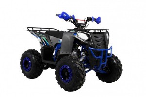 Квадроцикл Wels ATV THUNDER EVO 125 s-dostavka Серый - магазин СпортДоставка. Спортивные товары интернет магазин в Твери 